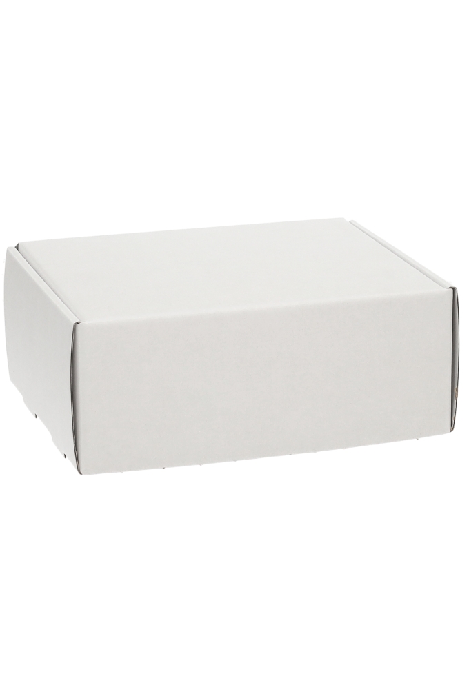 Verzenddoos Klepdoosje Budget Fast Wit Mat 20.5x16x8cm 10stuks