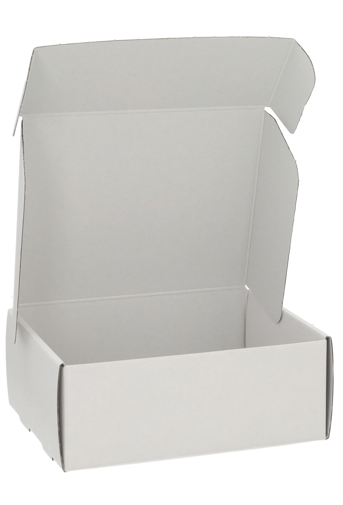 Verzenddoos Klepdoosje Budget Fast Wit Mat 20.5x16x8cm 10stuks