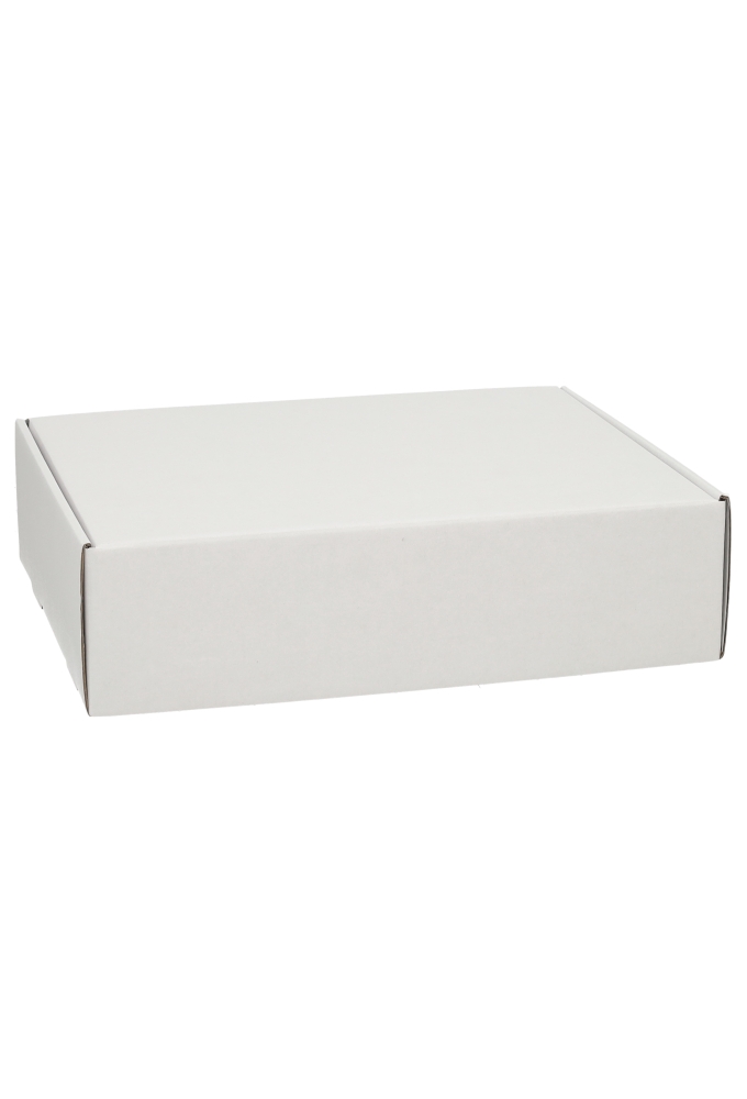 Verzenddoos Klepdoosje Budget Fast Wit Mat 30.5x24x8cm 10stuks