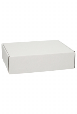 Verzenddoos Klepdoosje Budget Fast Wit Mat 30.5x24x8cm 10stuks