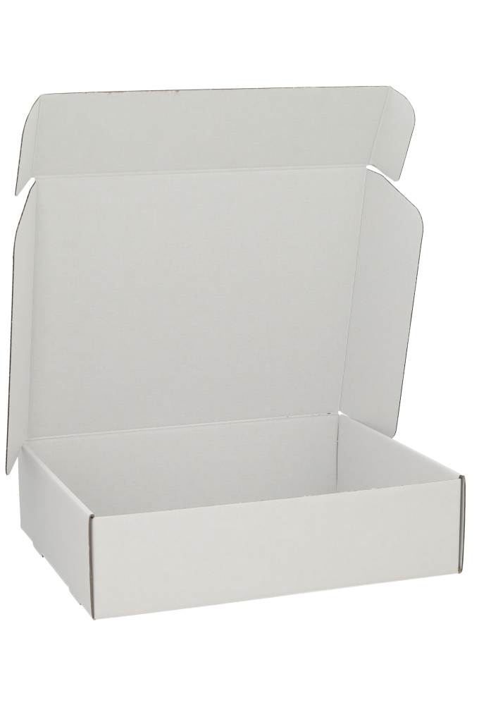 Verzenddoos Klepdoosje Budget Fast Wit Mat 30.5x24x8cm 10stuks