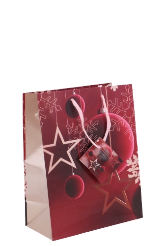 Kersttasjes Medium Red Stars Christmas 18x10x23cm 11stuks