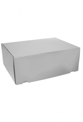 Luxe Verzenddoos Rolo Zilver Blinkend 42.5x31x15.5cm 25stuks