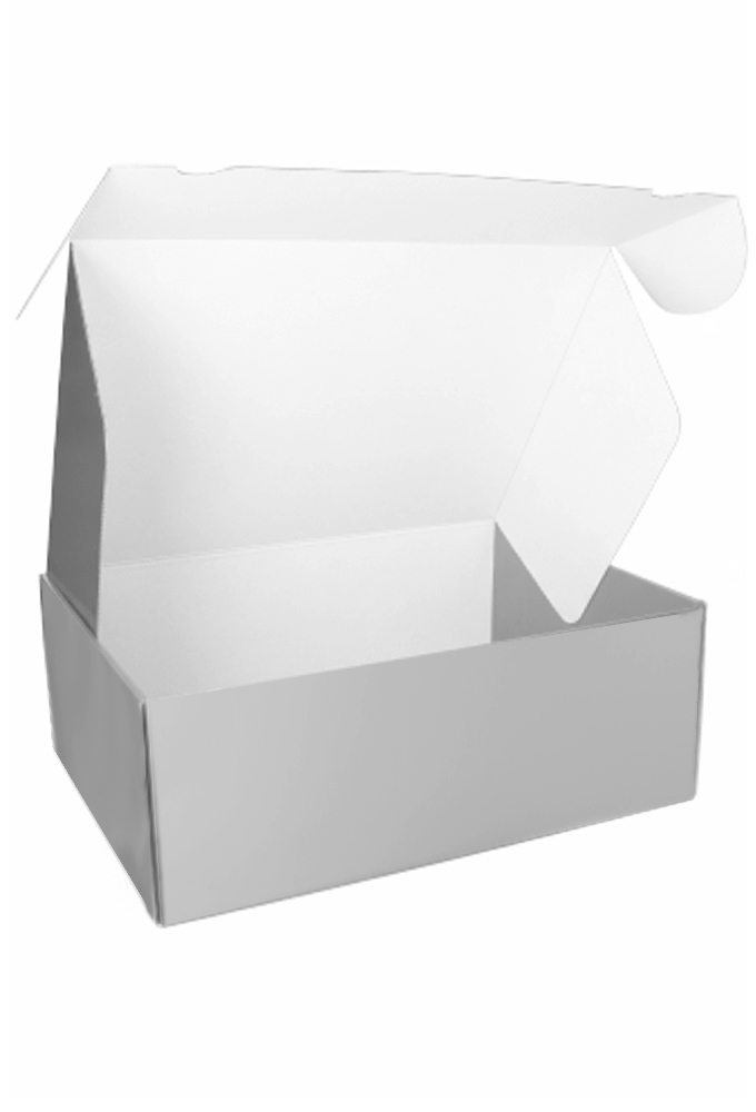 Luxe Verzenddoos Rolo Zilver Blinkend 42.5x31x15.5cm 25stuks