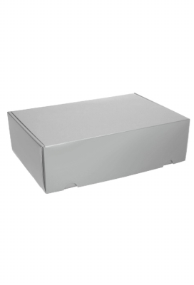 Luxe Verzenddoos Rolo Zilver Blinkend 35x24x10.5cm 25stuks