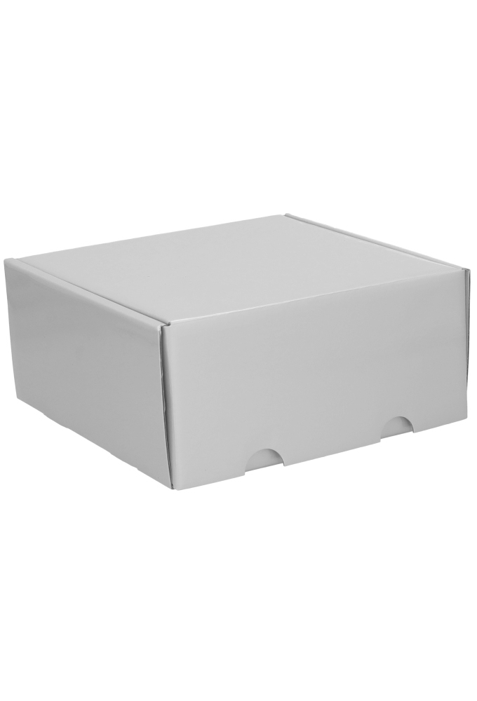 Luxe Verzenddoos Rolo Zilver Blinkend 24x23x11cm 25stuks