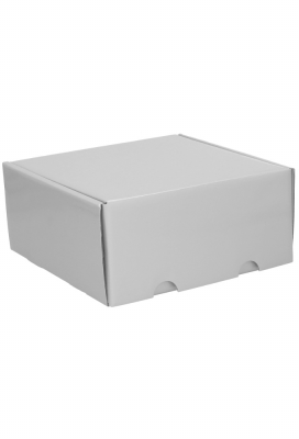 Luxe Verzenddoos Rolo Zilver Blinkend 24x23x11cm 25stuks