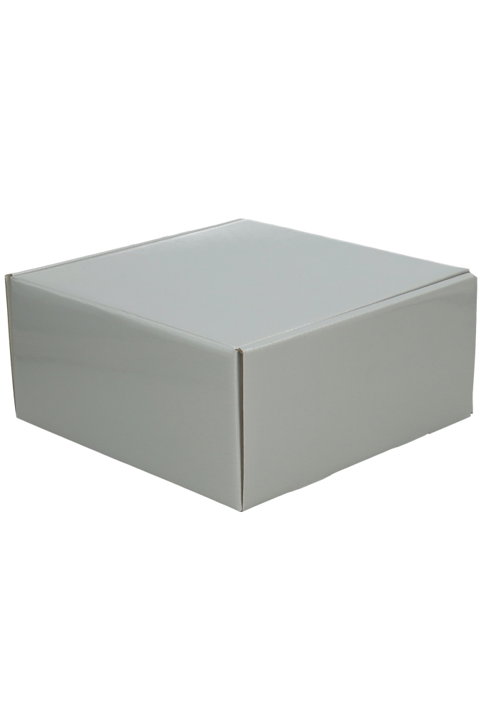 Luxe Verzenddoos Rolo Zilver Blinkend 24x23x11cm 25stuks