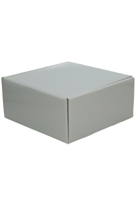 Luxe Verzenddoos Rolo Zilver Blinkend 24x23x11cm 25stuks