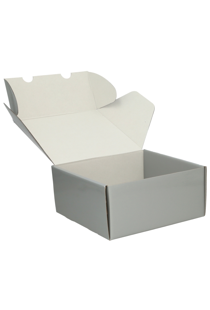 Luxe Verzenddoos Rolo Zilver Blinkend 24x23x11cm 25stuks
