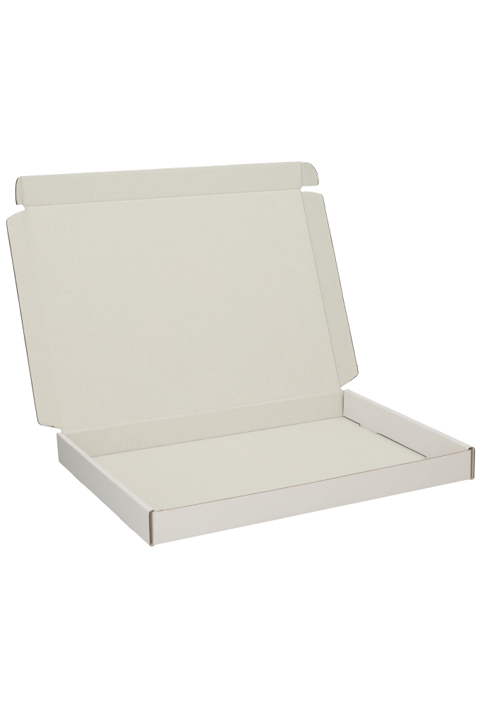 Brievenbusdoos Met Uw Eigen Logo Wit A4 31x22x2.8cm 10stuks