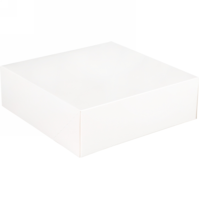 Gebaksdoos Blanco Wit Met Klep 25x25x8cm 270gram 175stuks OP IS OP