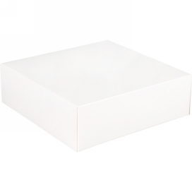 Gebaksdoos Blanco Wit Met Klep 25x25x8cm 270gram 175stuks OP IS OP