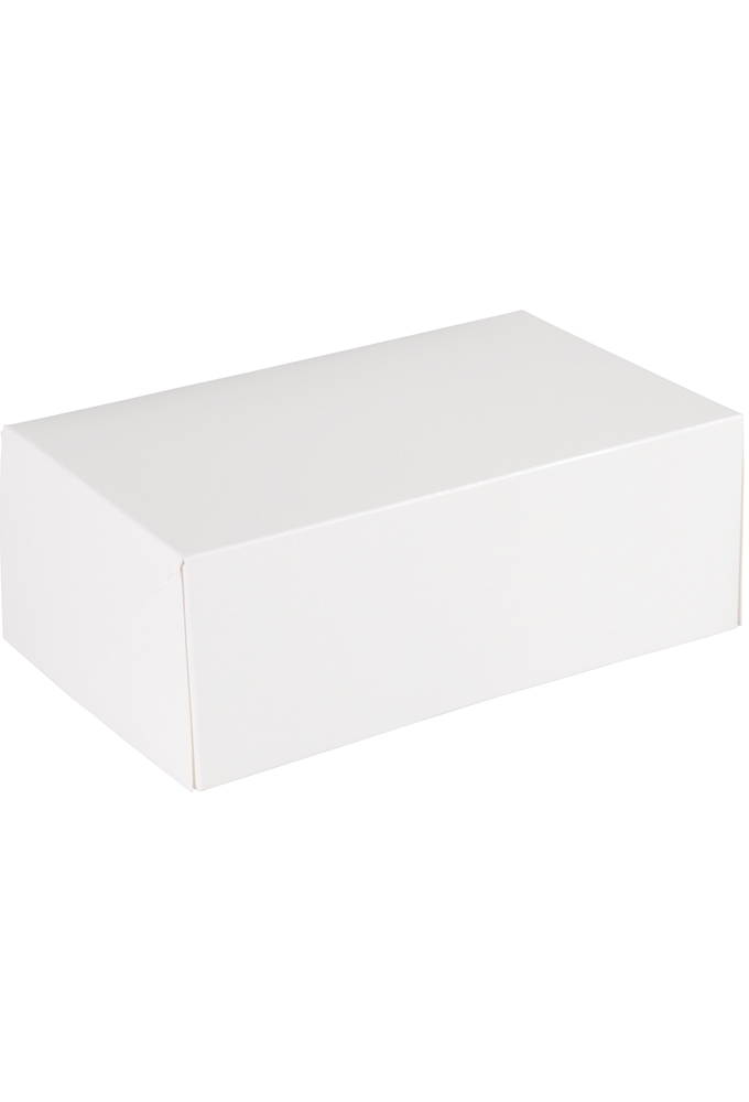 Gebaksdoos Blanco Wit Met Klep 21x14x8cm 250gram 300stuks