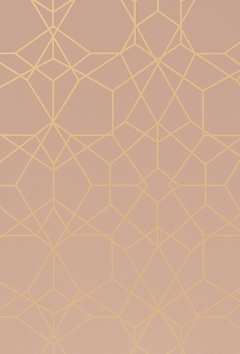 Kadopapier Metallic Geo Lia Zilver 50cm x 100meter