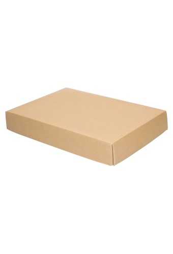 Geschenkdoos Kraft Gaby Kraft Naturel 40x31x8cm 50stuks