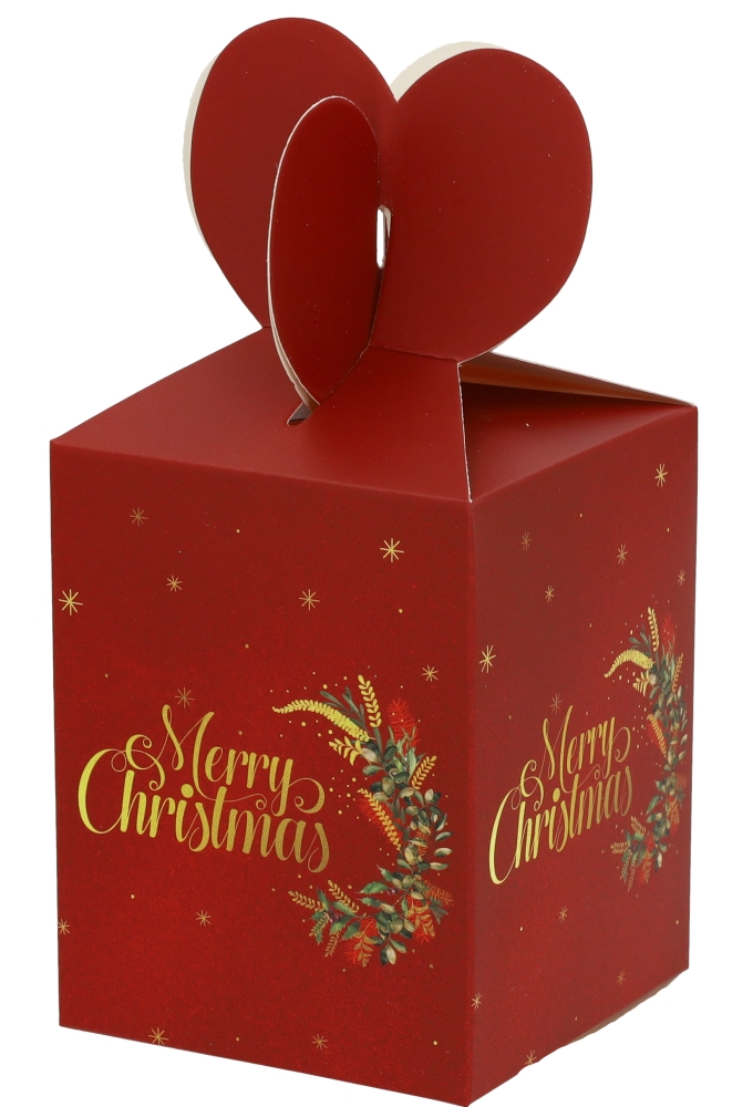 Geschenkdoosje Merry Christmas Rood 10x10x12.5cm 12stuks
