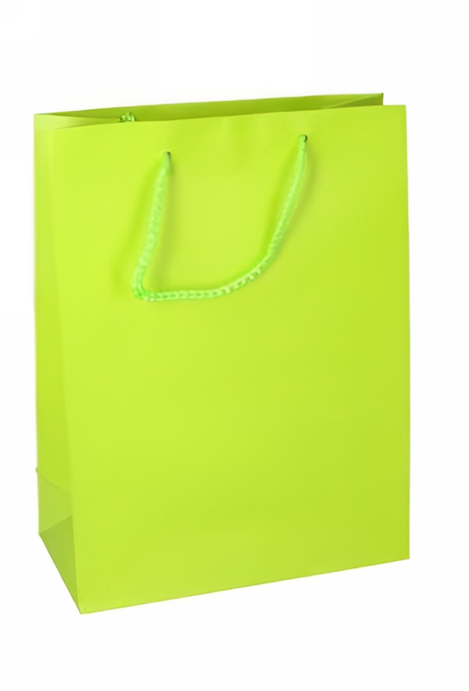 Kadotasjes Latina Mat Lime Groen Met Koord 22x10x29cm 12stuks