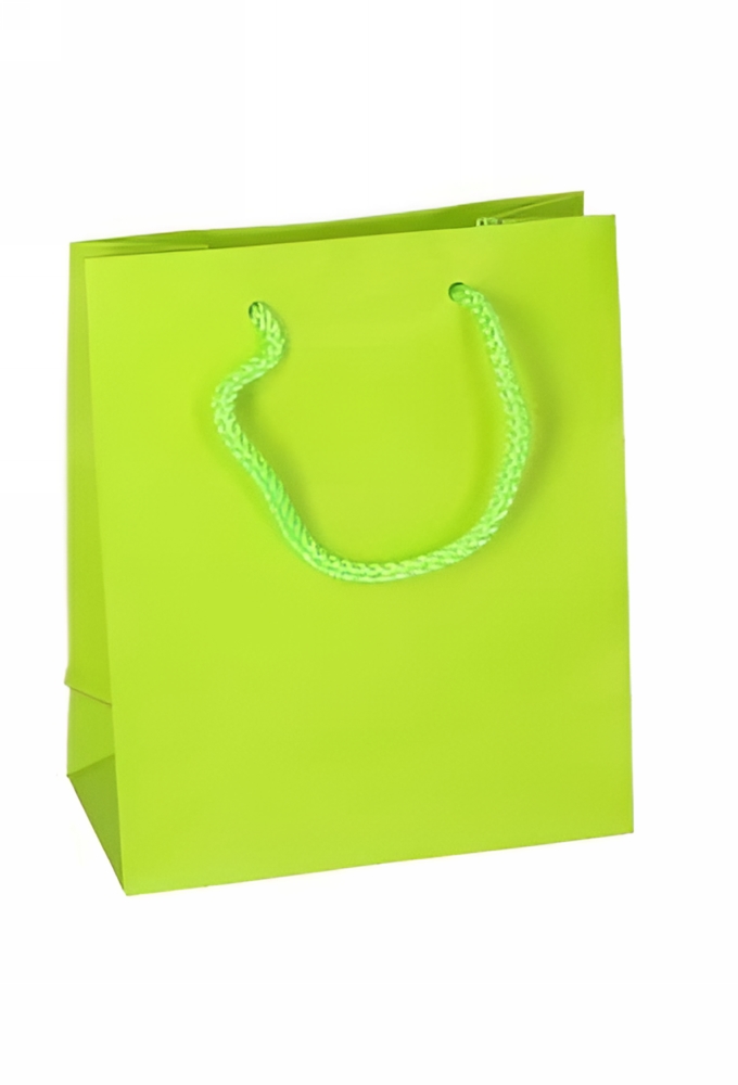 Kadotasjes Latina Mat Lime Groen Met Koord 16x8x19cm 12stuks