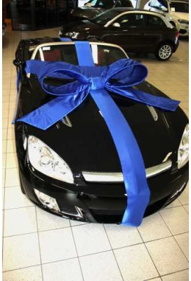 Super Autostrik Salerno Blauw 120x100x50cm Met Lint En Zuignap