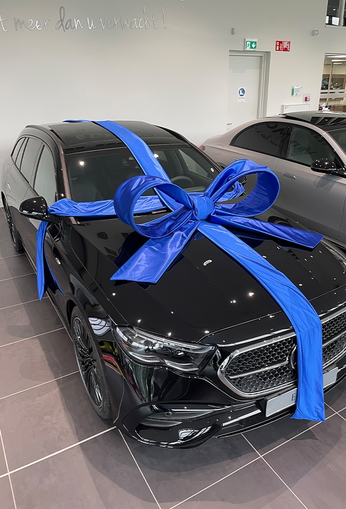 Super Autostrik Salerno Blauw 120x100x50cm Met Lint En Zuignap