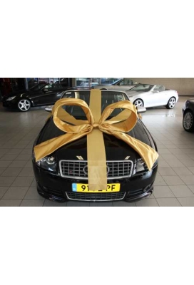 Super Autostrik Salerno Goud 120x100x50cm Met Lint En Zuignap