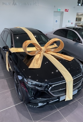 Super Autostrik Salerno Goud 120x100x50cm Met Lint En Zuignap