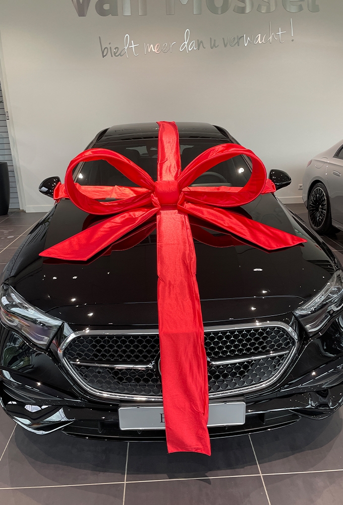 Super Autostrik Salerno Rood 120x100x50cm Met Lint En Zuignap