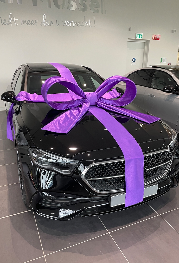 Super Autostrik Salerno Paars 120x100x50cm Met Lint En Zuignap