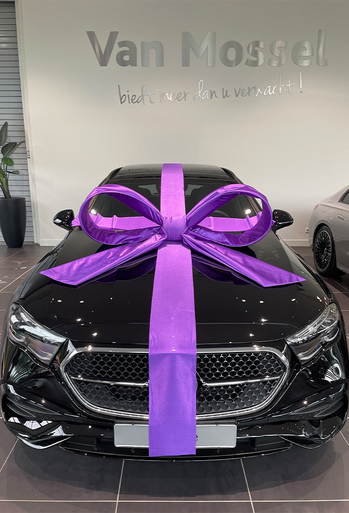 Super Autostrik Salerno Paars 120x100x50cm Met Lint En Zuignap