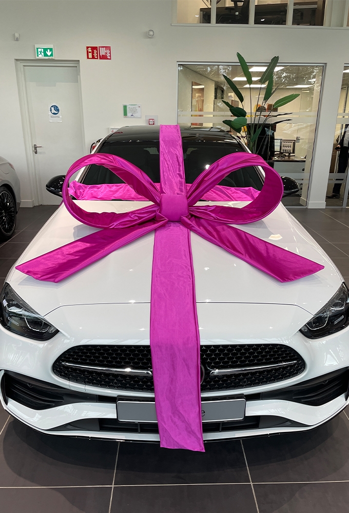 Super Autostrik Salerno Magenta 120x100x50cm Met Lint En Zuignap