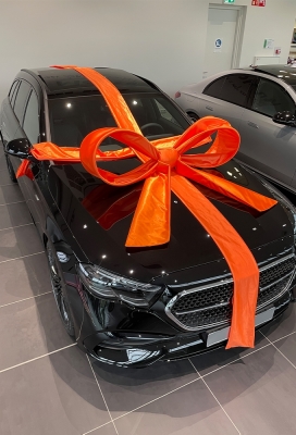 Super Autostrik Salerno Oranje 120x100x50cm Met Lint En Zuignap