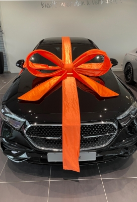 Super Autostrik Salerno Oranje 120x100x50cm Met Lint En Zuignap