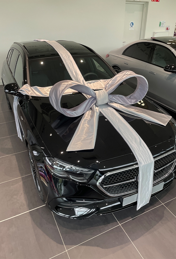 Super Autostrik Salerno Zilver 120x100x50cm met lint en zuignap