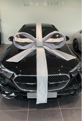 Super Autostrik Salerno Zilver 120x100x50cm met lint en zuignap