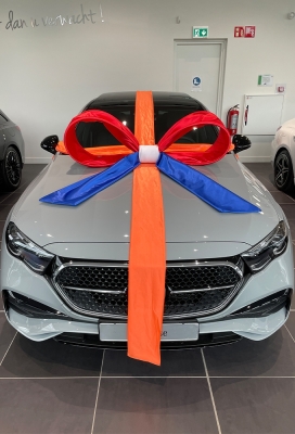 Super Autostrik Salerno Nederland 120x100x50cm Met Lint En Zuignap