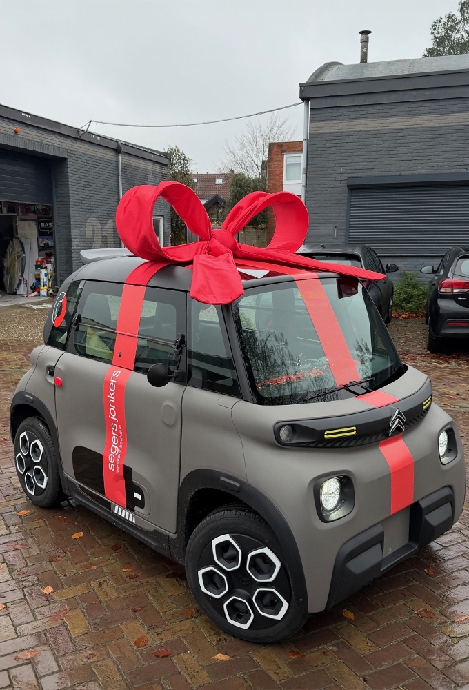 Super Autostrik Salerno Rood Klein 80x70x30cm Met Lint En Zuignap