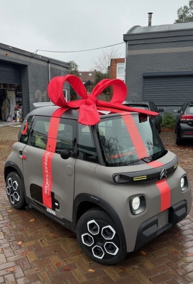 Super Autostrik Salerno Rood Klein 80x70x30cm Met Lint En Zuignap