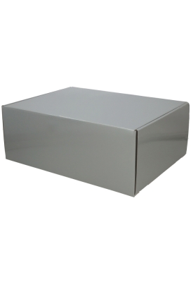 Luxe Verzenddoos Rolo Zilver Blinkend 42.5x31x15.5cm 25stuks