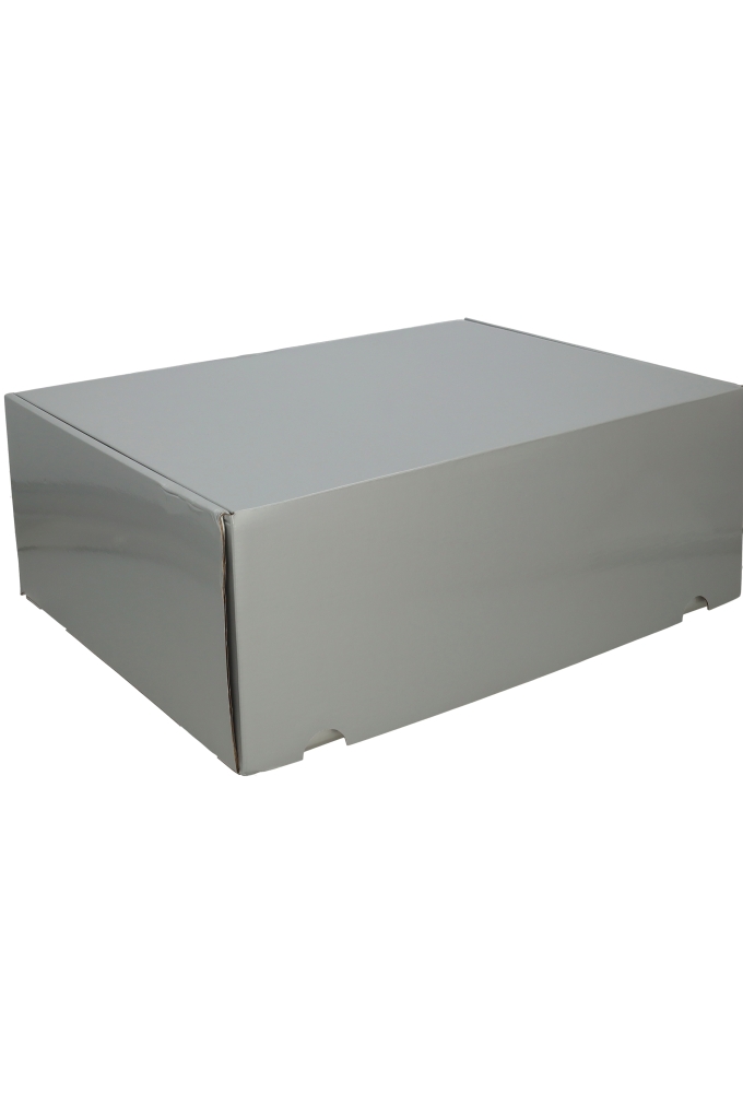 Luxe Verzenddoos Rolo Zilver Blinkend 42.5x31x15.5cm 25stuks