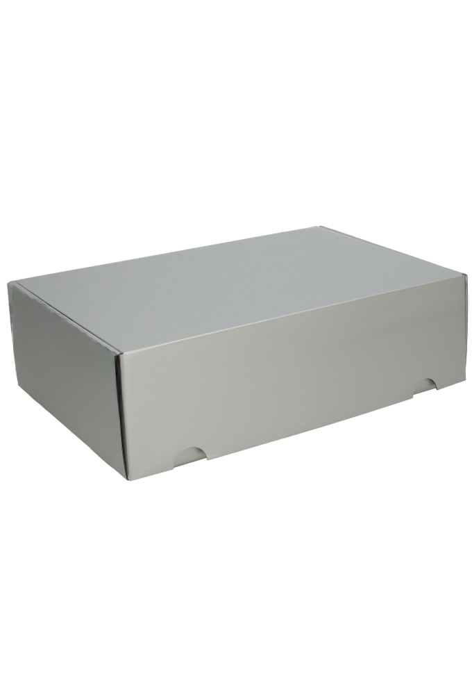 Luxe Verzenddoos Rolo Zilver Blinkend 35x24x10.5cm 25stuks