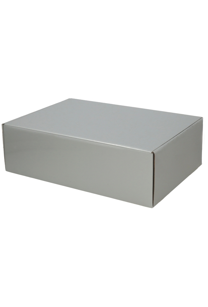 Luxe Verzenddoos Rolo Zilver Blinkend 35x24x10.5cm 25stuks