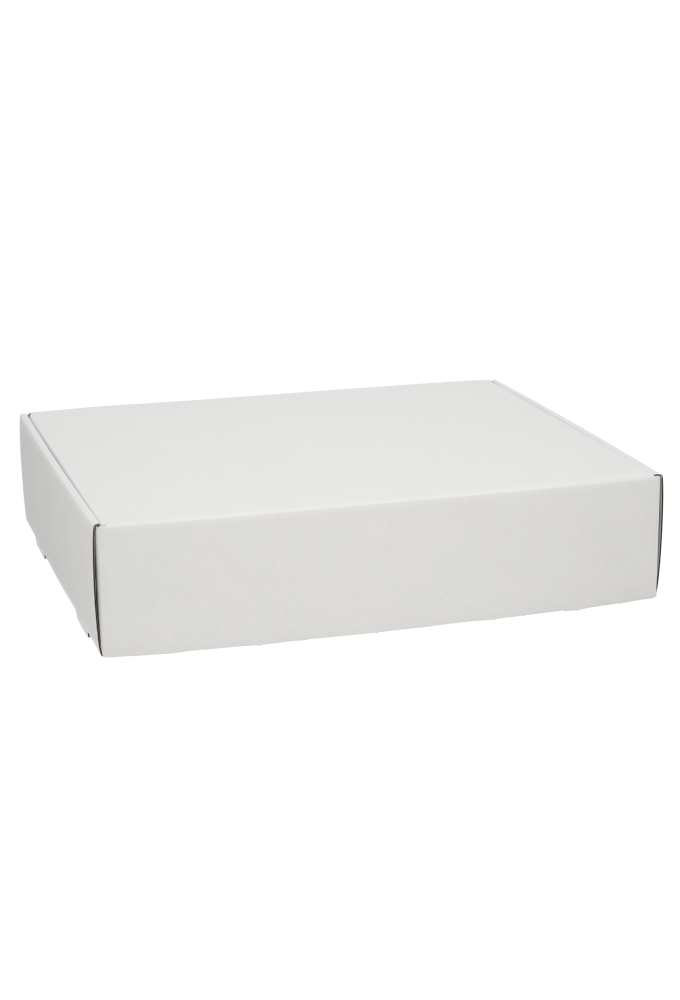 Verzenddoos Klepdoosje Budget Fast Wit Mat 40.5X32X8cm 10stuks