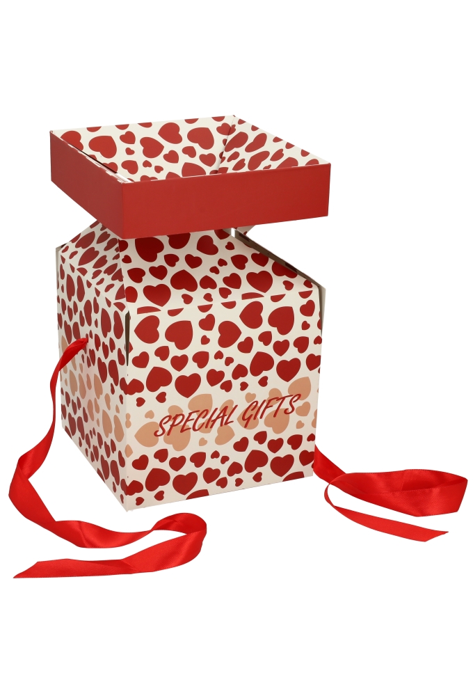 Geschenkdoos Regalo Special Gifts Hartjes Rood Lint 20x20x20cm 25stuks