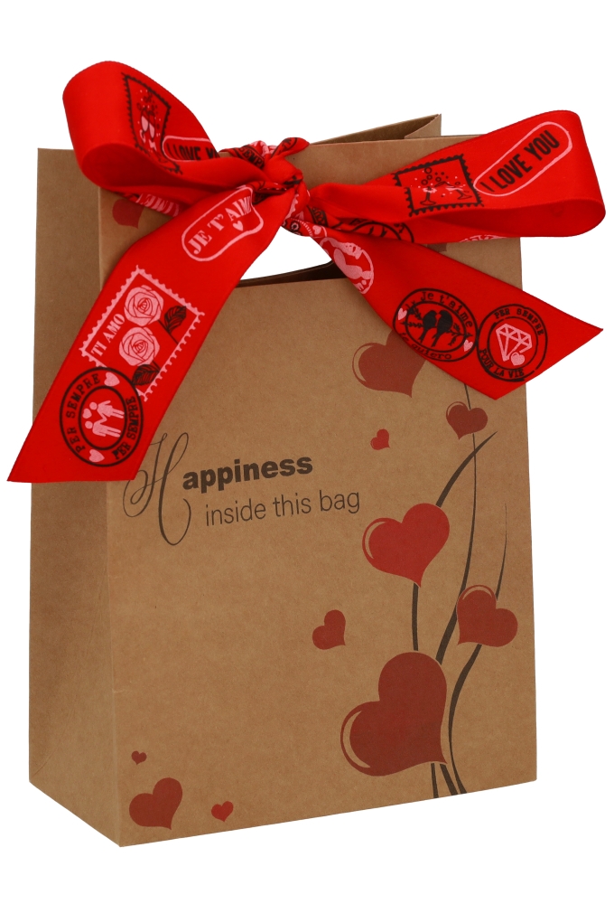 Kadotasje Happiness Inside This Bag Hartjes 16x8x23cm 10stuks