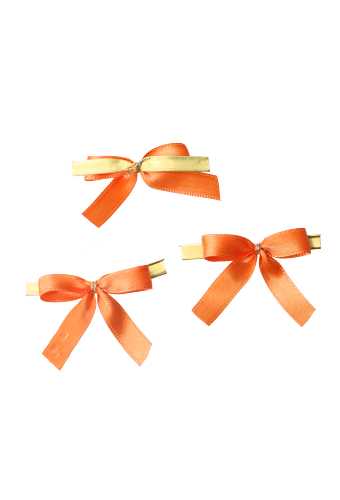 Luxe Strikje Satijn Oranje & Clip 4x3.5cm 250stuks