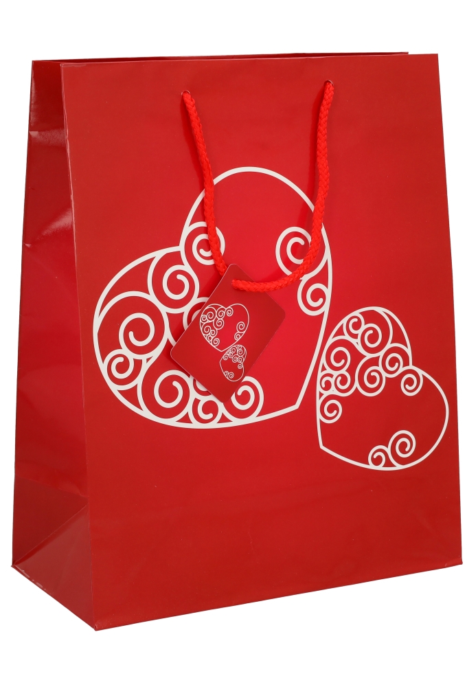 Kadotasjes Liefde Groot Love You al my Heart 26.5x13.5x32.5cm 12stuks