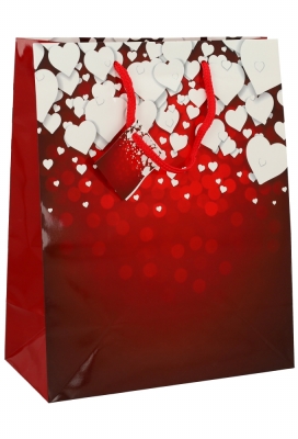 Kadotasjes Liefde Groot Hearts Rain 26.5x13.5x32.5cm 12stuks