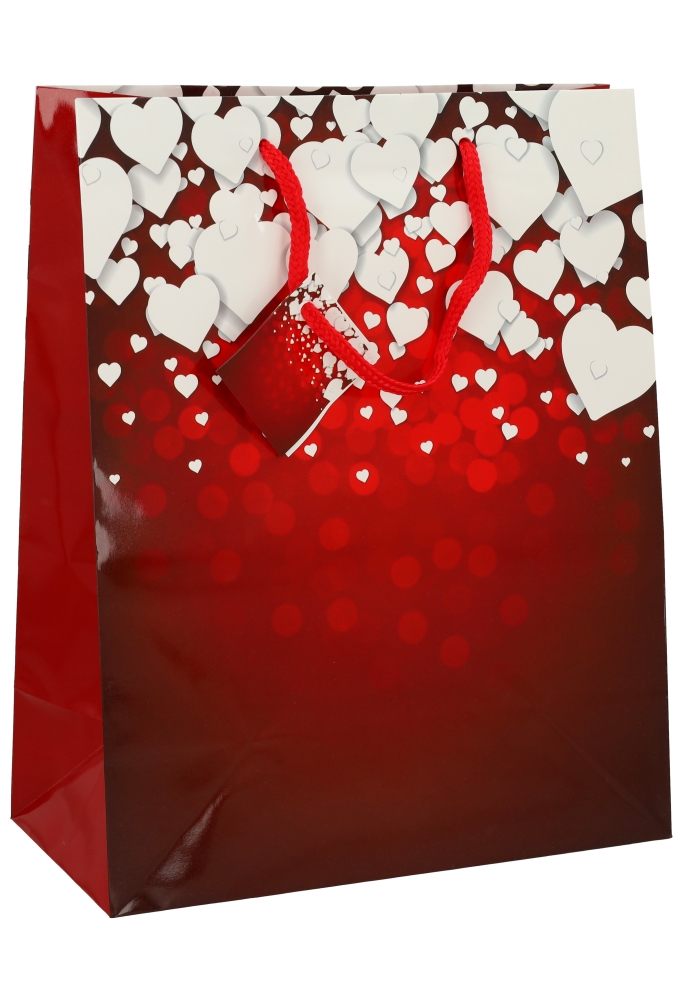 Kadotasjes Liefde Groot Hearts Rain 26.5x13.5x32.5cm 12stuks
