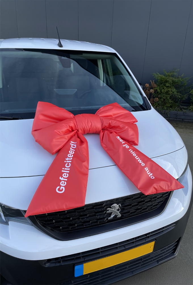 Megastrik Dubbel Lucca Gefeliciteerd 77x50+40cm & Zuignap